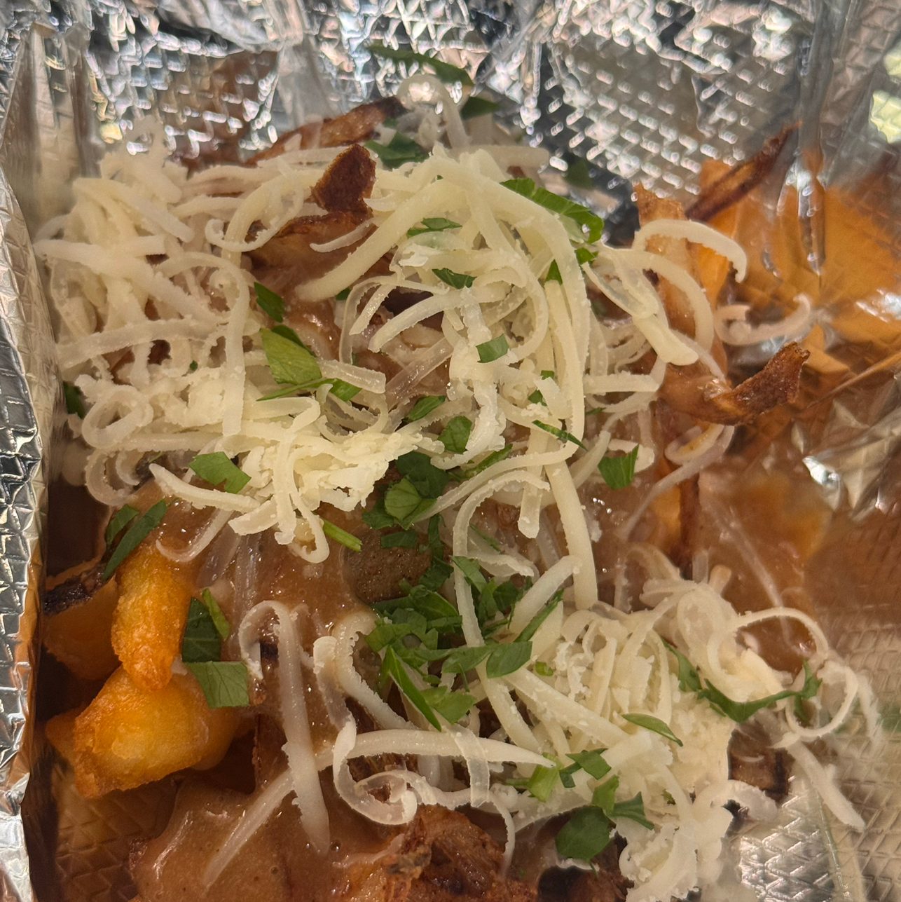 French Onion Gourmet Fries.