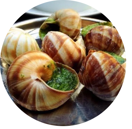 A plate of food with some snails on it